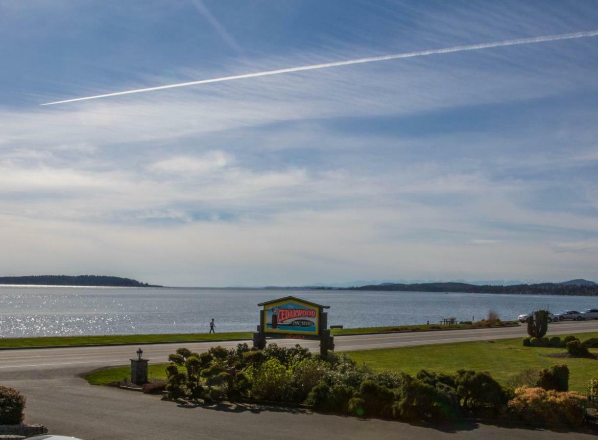 The Cedarwood Inn & Suites Sidney Extérieur photo